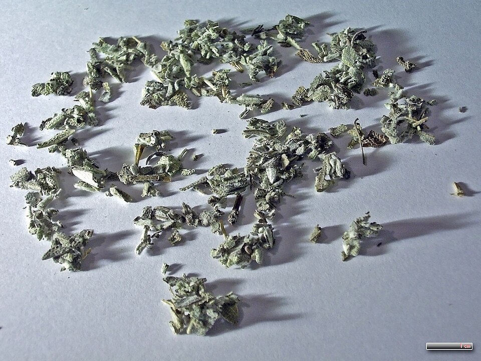 A cup of Greek faskomilo sage tea with dried sage leaves