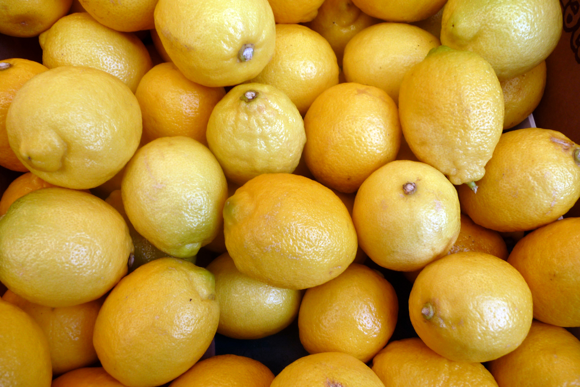 A small chilled glass of Naxos kitro citron liqueur
