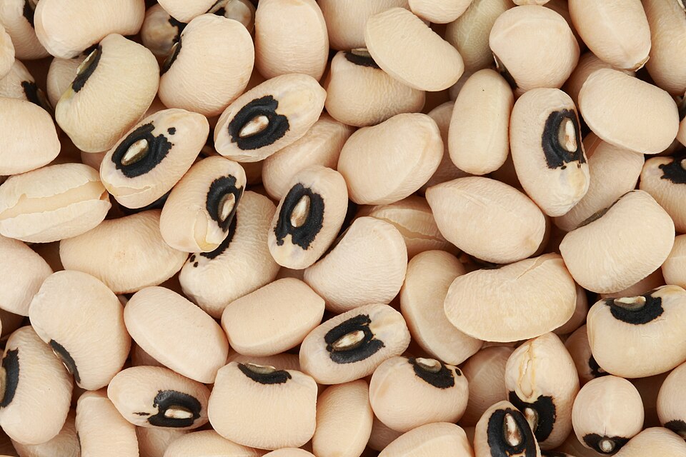 Cypriot black-eyed bean and chard salad dressed with olive oil and lemon