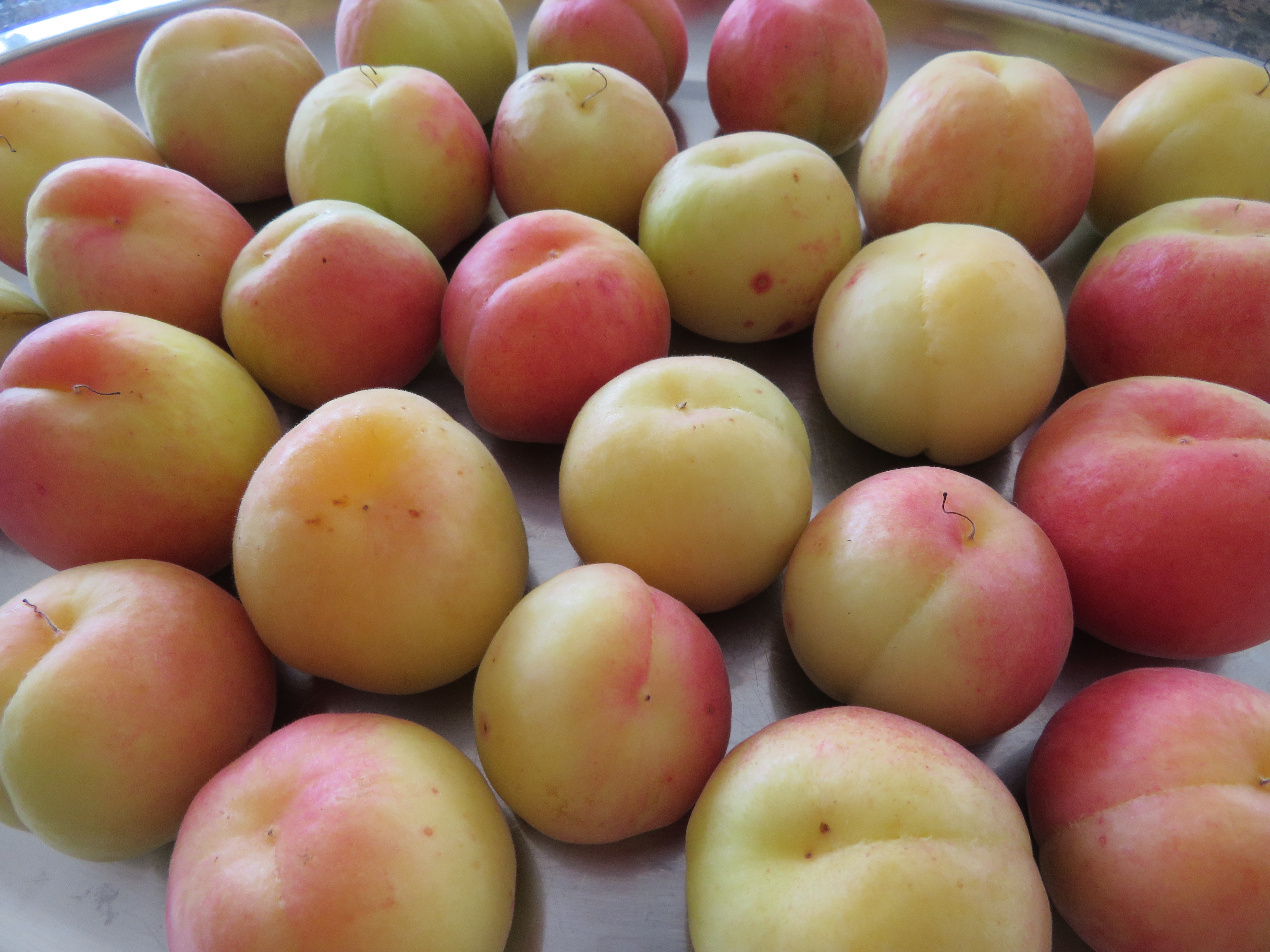 Fresh apricots, halved and stoned for a Greek spoon sweet