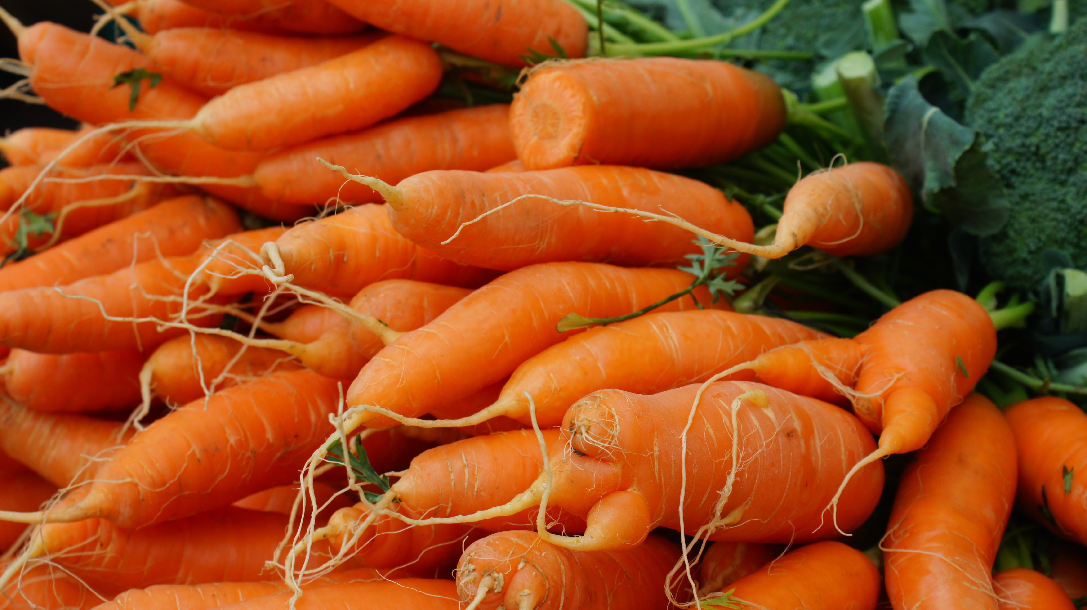 Carrots, the sweetener behind most Greek braises