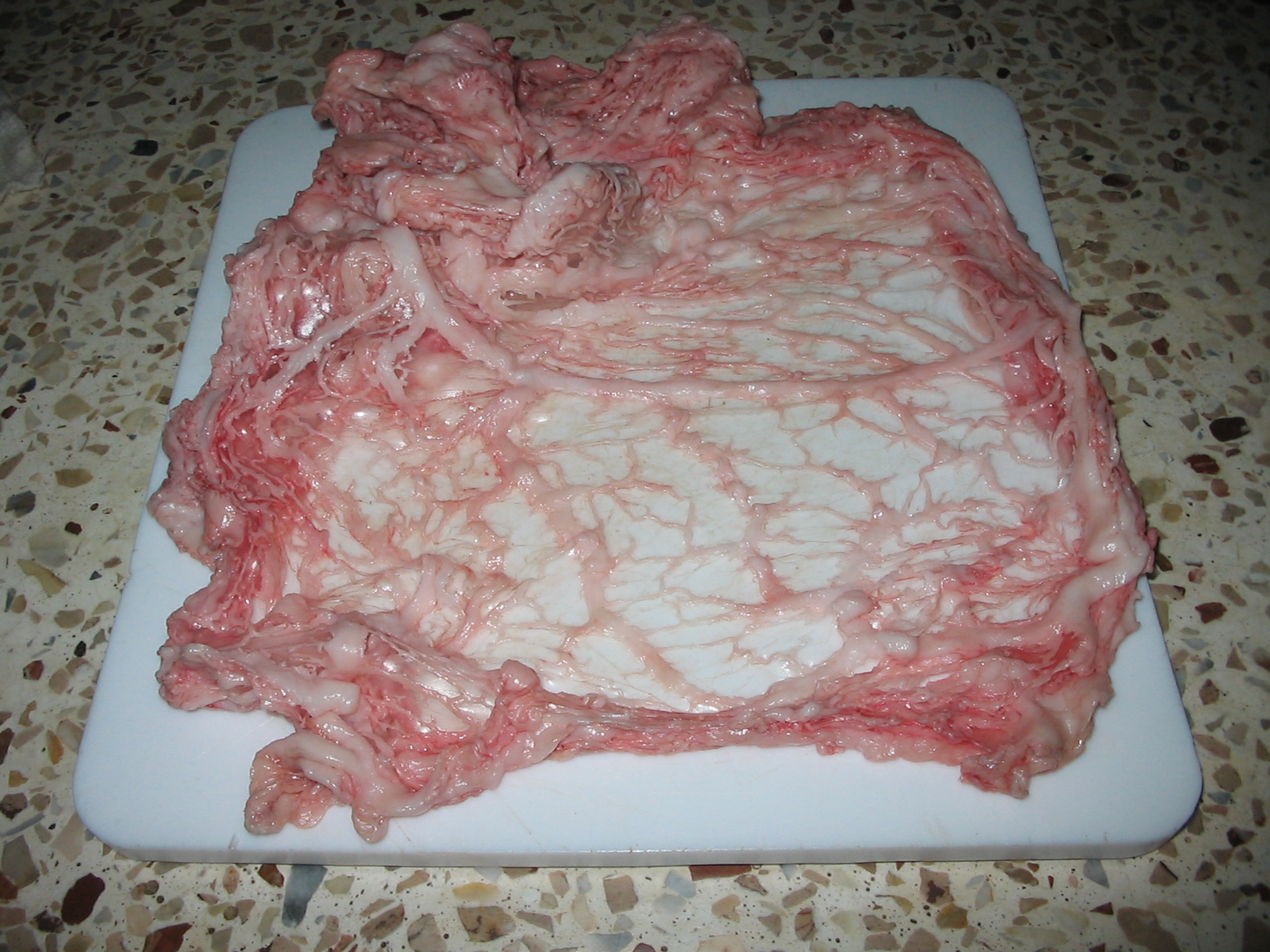 A sheet of lacy caul fat, used to wrap Cypriot sheftalia