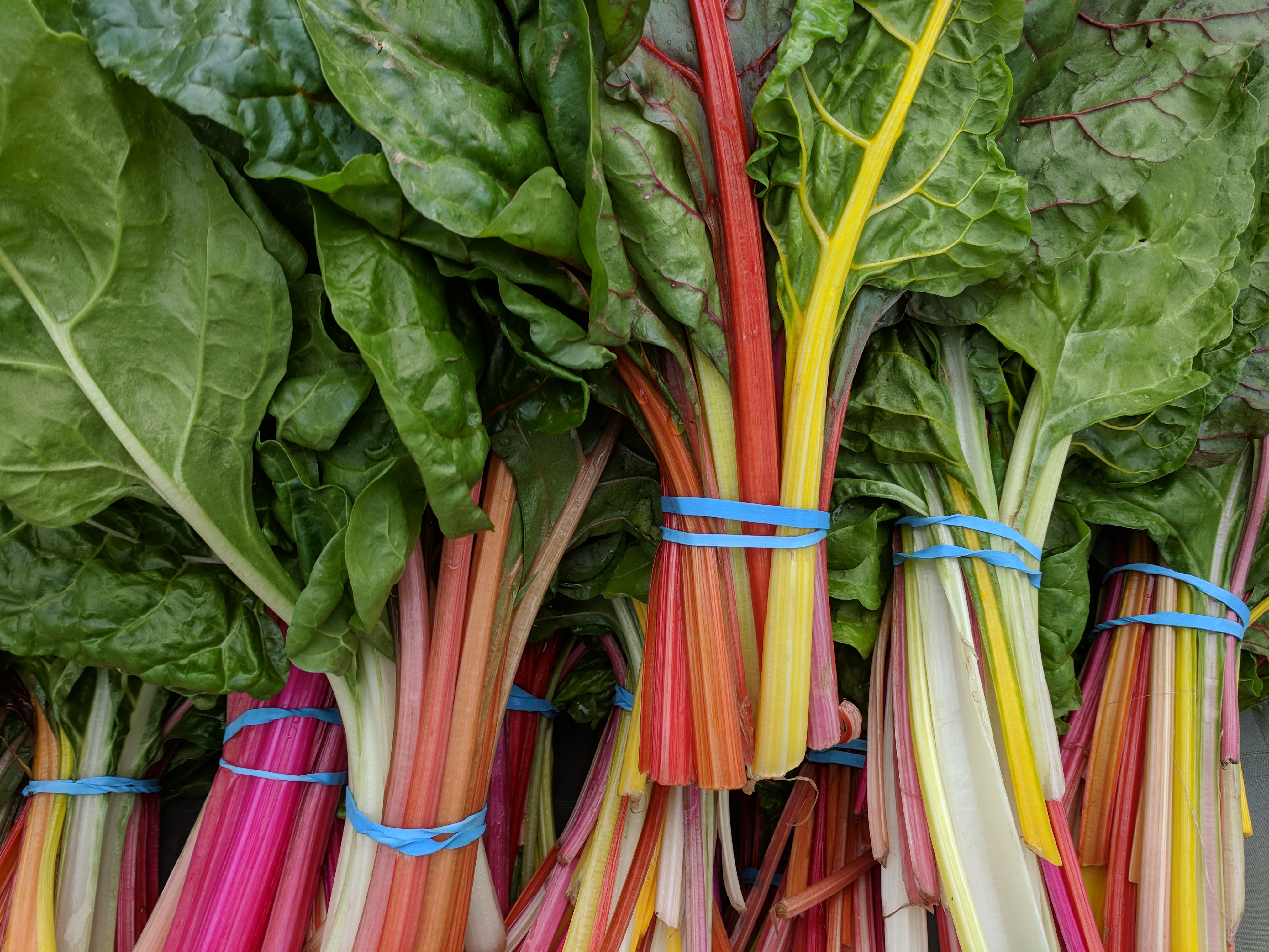 Swiss chard leaves and stalks, the Greek seskoula