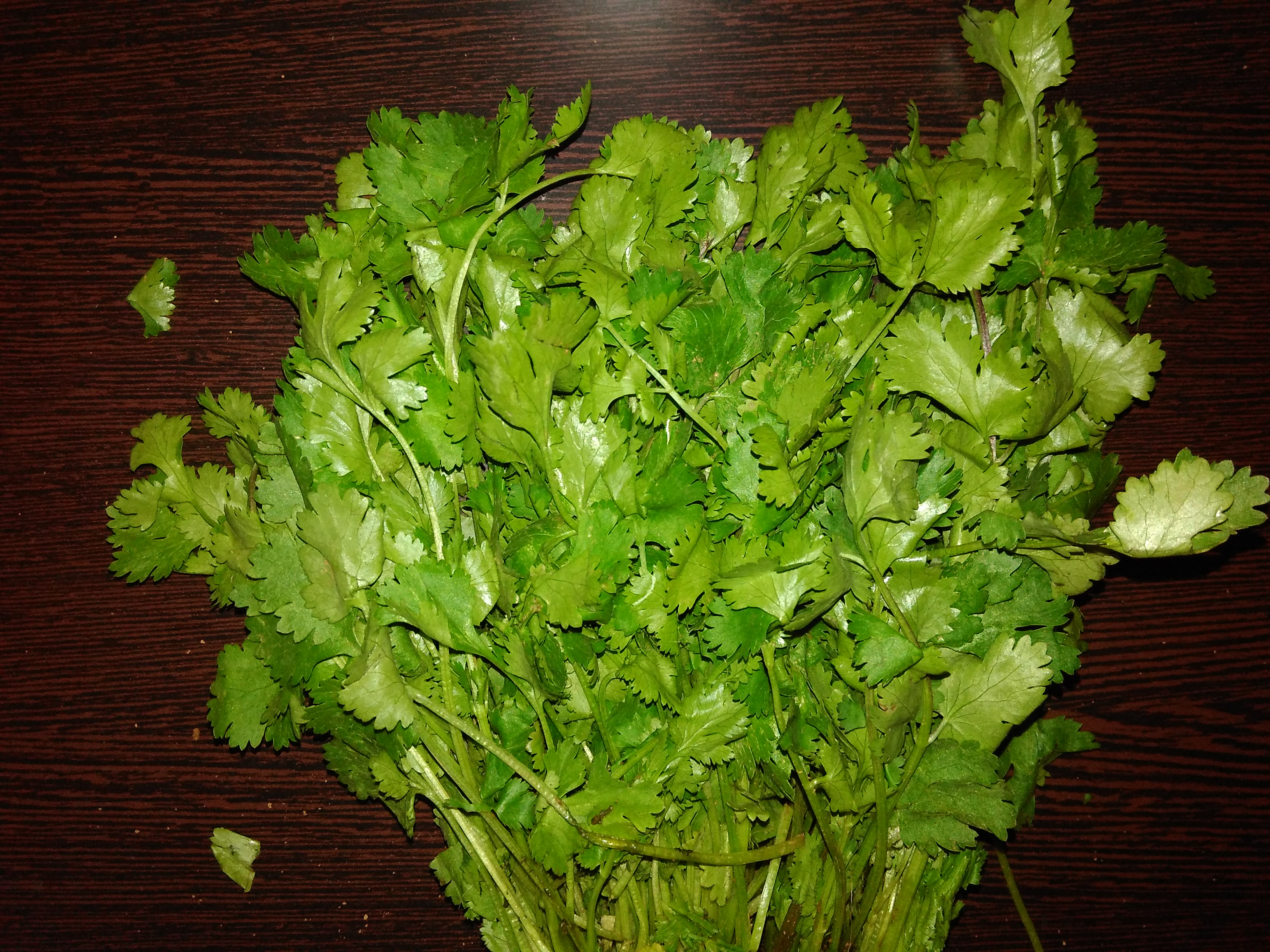 Whole coriander seed and fresh coriander leaf used in Cypriot cooking