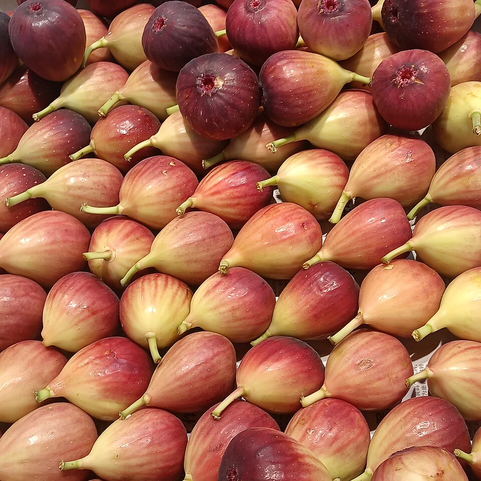 Fresh and dried figs, an ancient fruit in Greek food culture