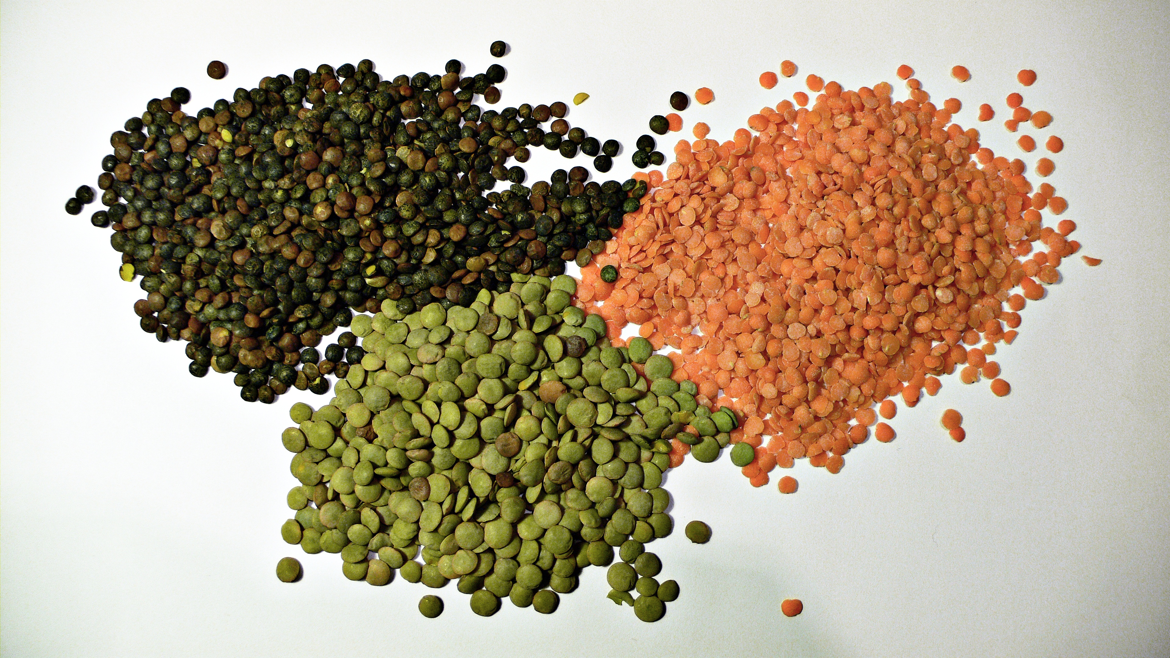Small brown lentils used for Greek fakes soup