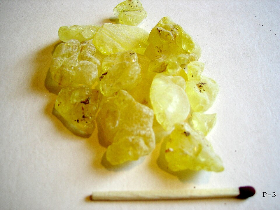 Mastic resin tears from the island of Chios