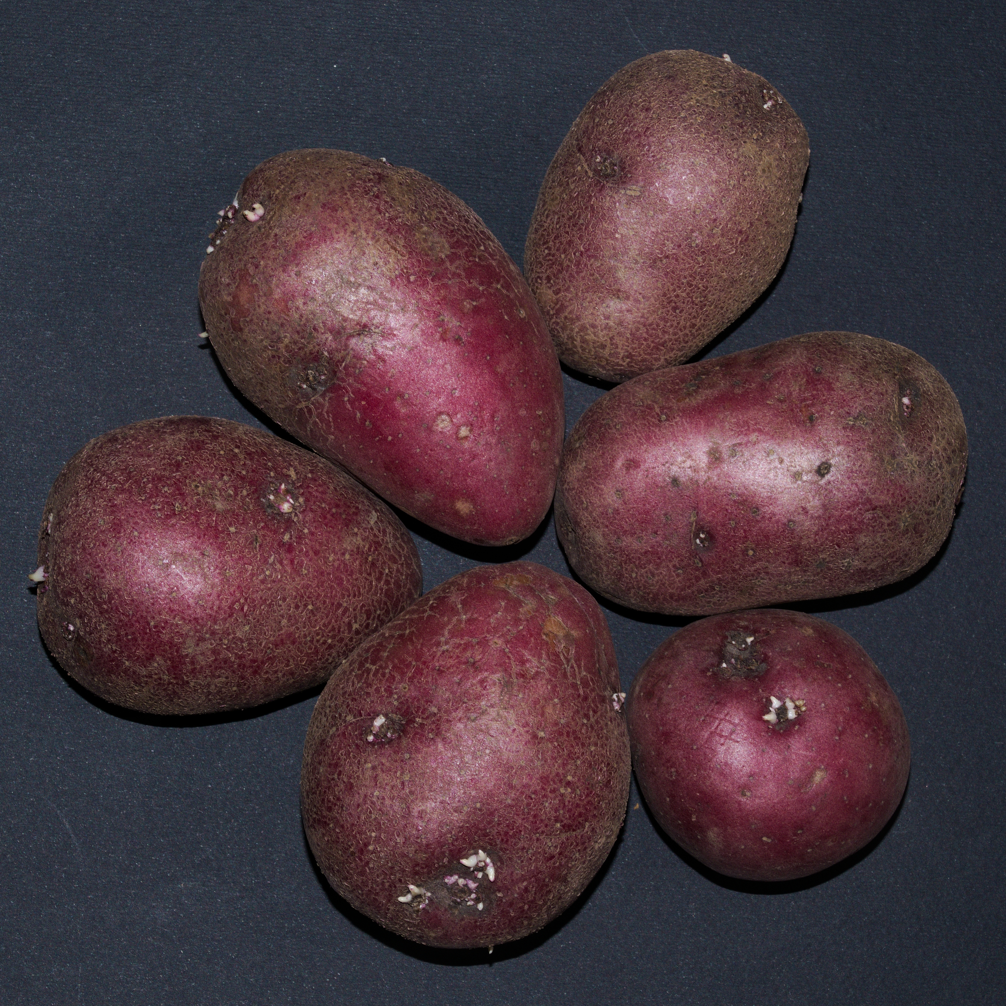 Potatoes, a staple across Greek roasting trays and stews