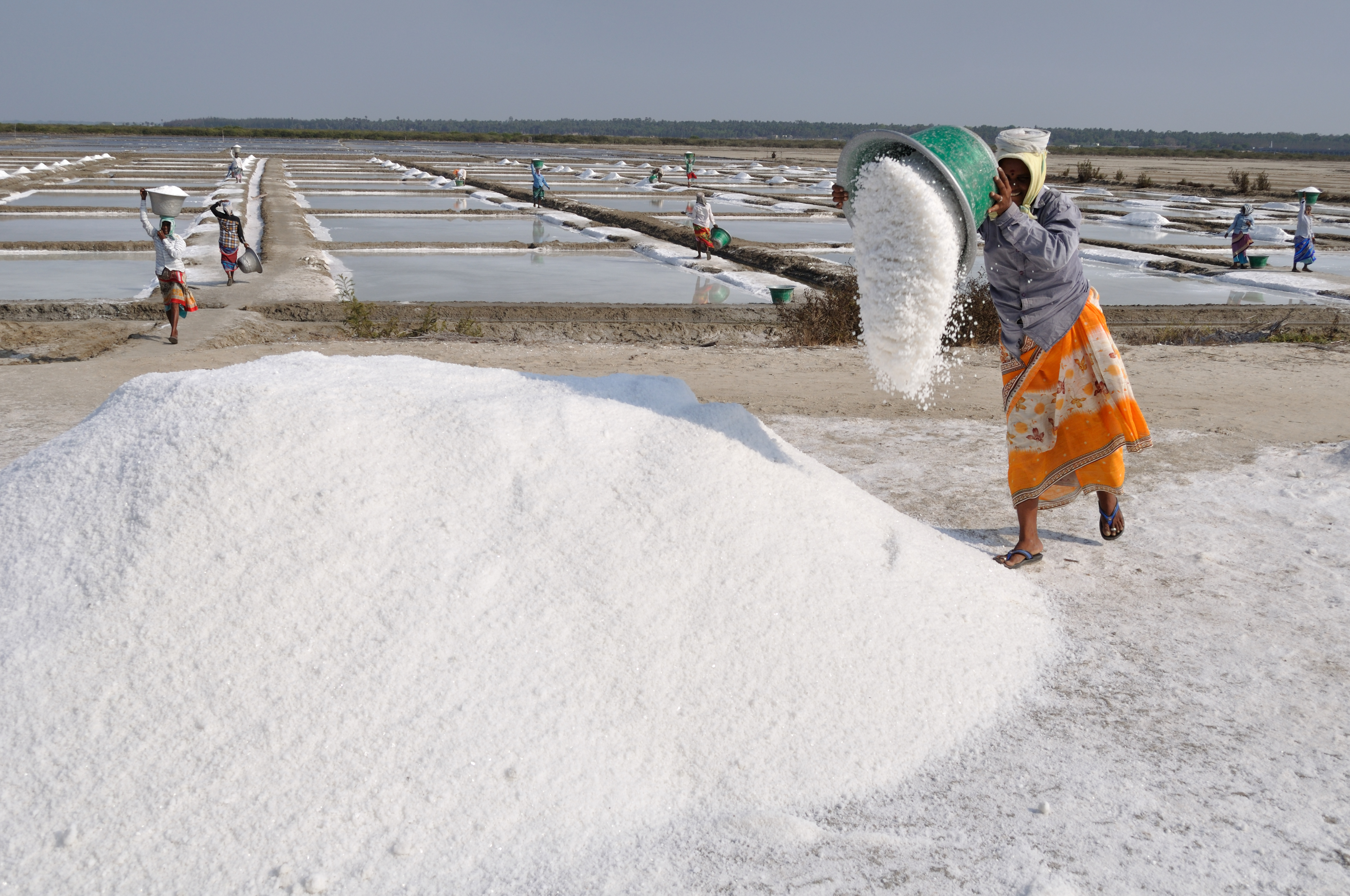 Coarse Greek sea salt, used for brining, curing and seasoning