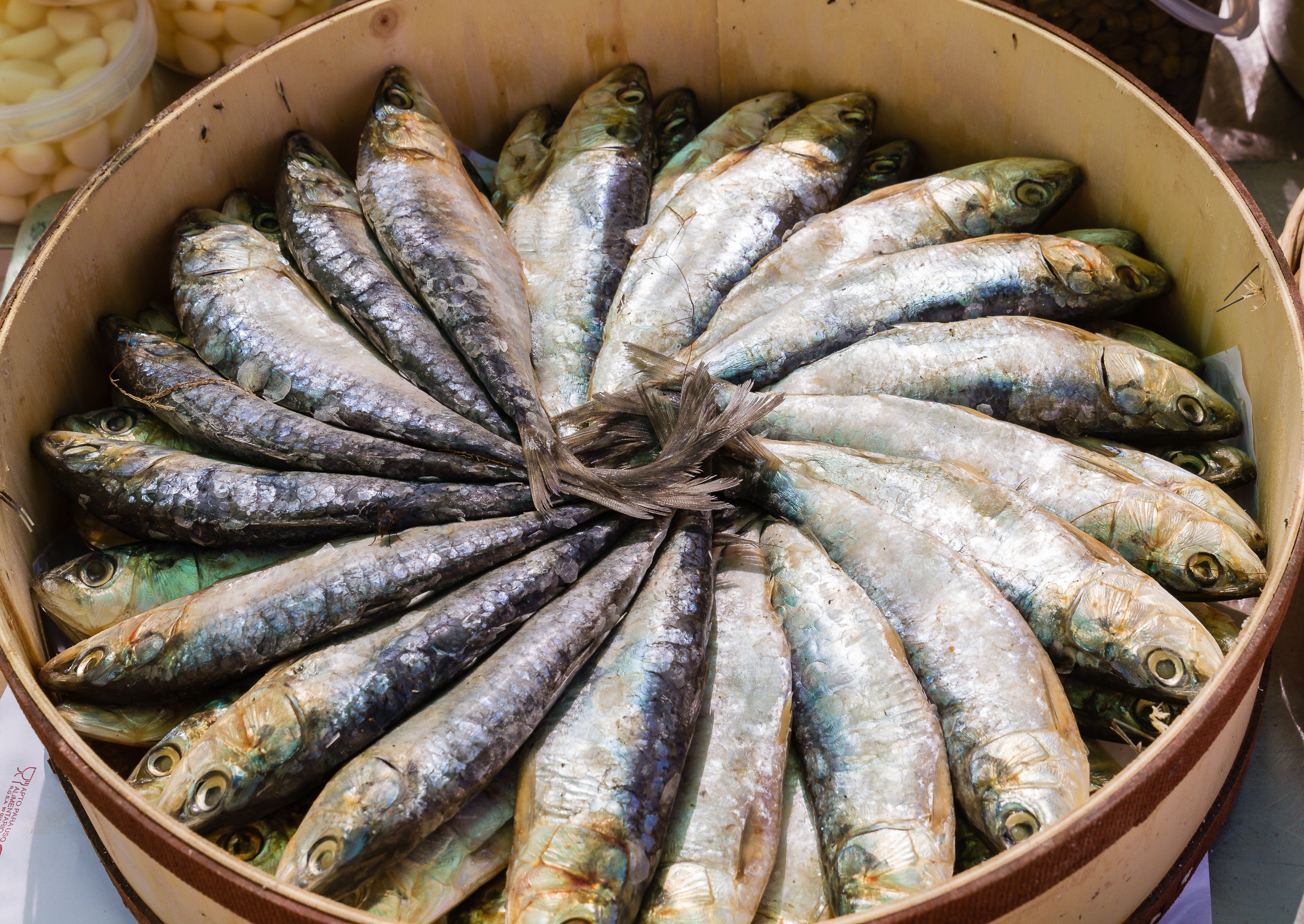 Fresh whole sardines, sardeles, on ice