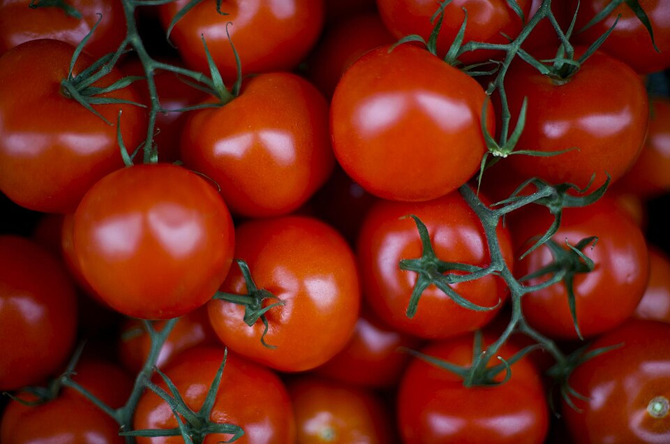 Ripe tomatoes used throughout Greek cooking