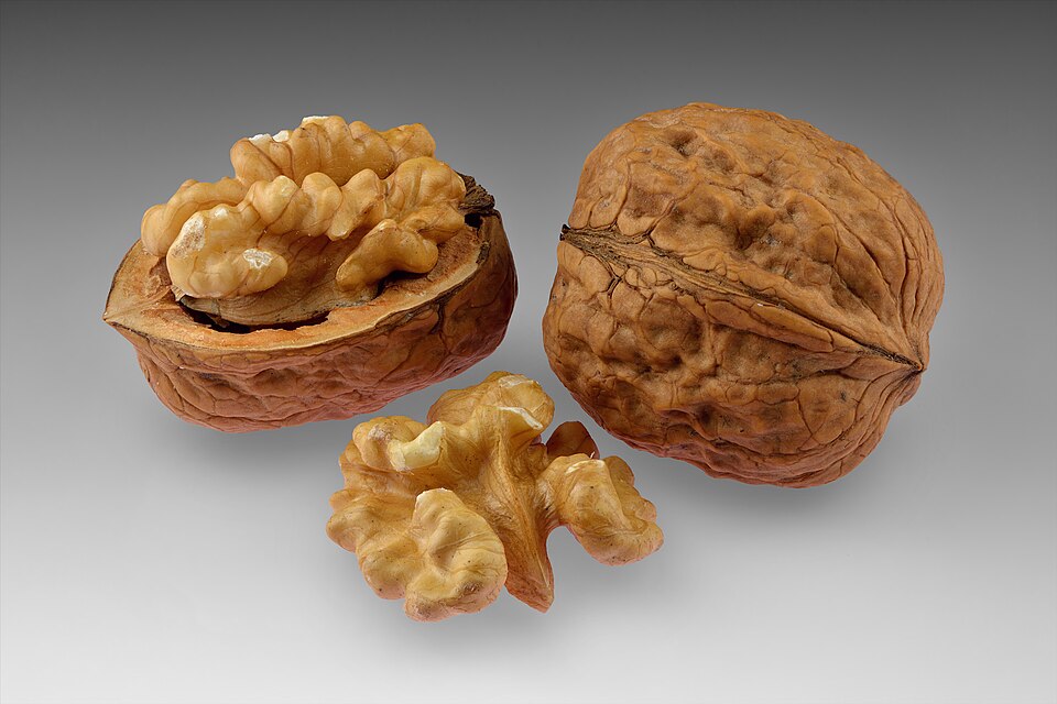 Shelled walnuts used in Greek desserts and garnishes